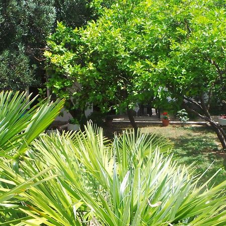 Pension Vice Gradac  Bagian luar foto