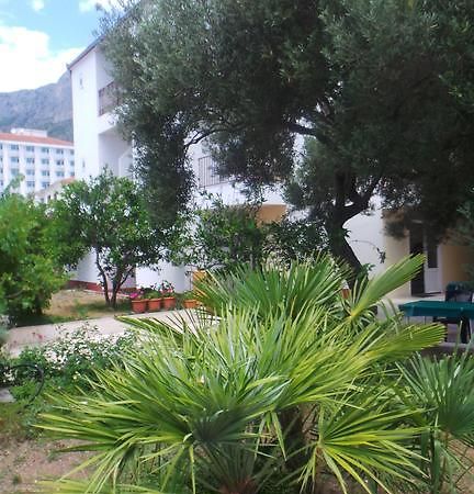 Pension Vice Gradac  Bagian luar foto