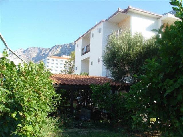 Pension Vice Gradac  Bagian luar foto