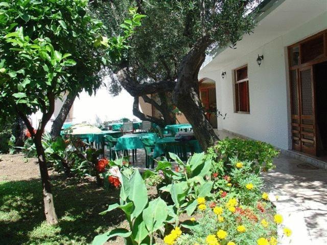 Pension Vice Gradac  Bagian luar foto