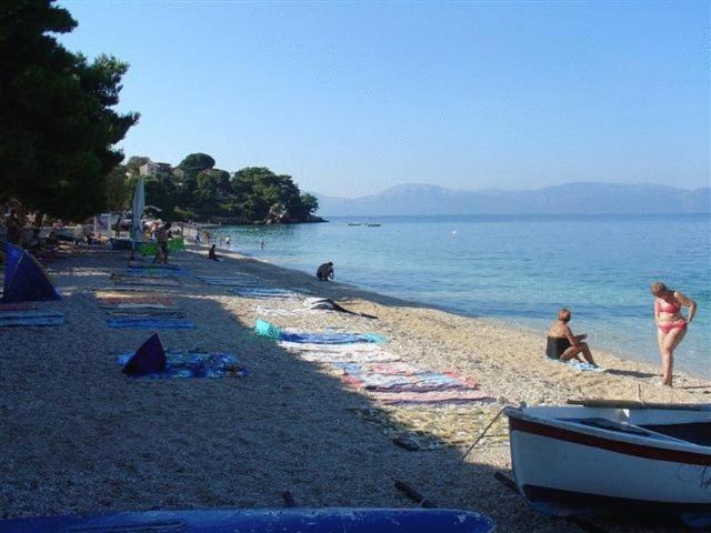 Pension Vice Gradac  Bagian luar foto