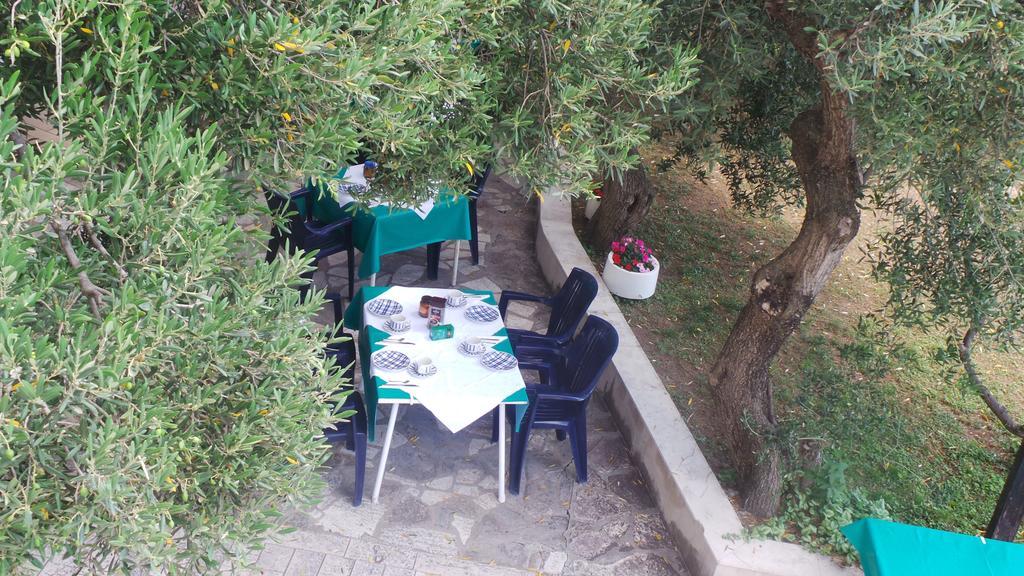 Pension Vice Gradac  Bagian luar foto