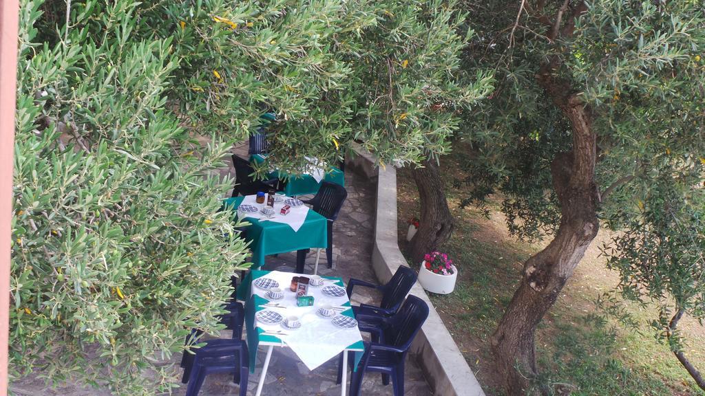 Pension Vice Gradac  Bagian luar foto