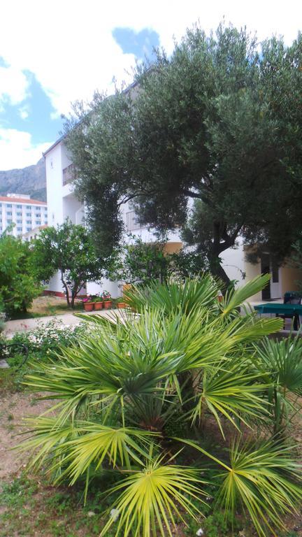 Pension Vice Gradac  Bagian luar foto